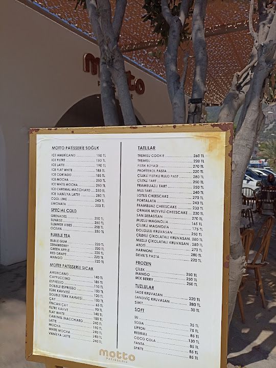 Fotoğraf 24