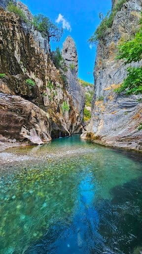 Yorum fotoğrafı 4