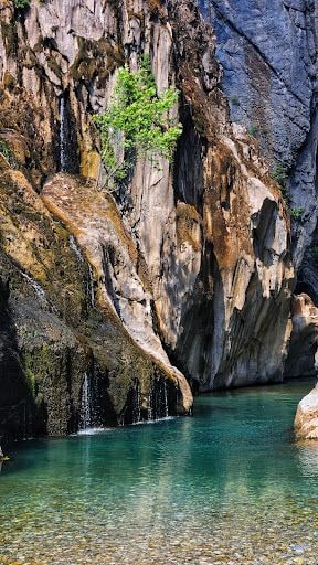 Yorum fotoğrafı 5