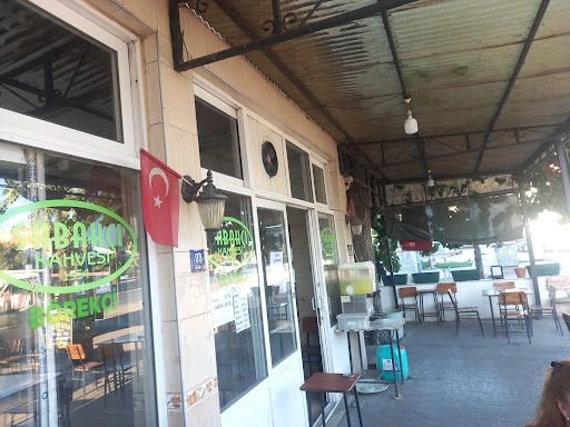 Fotoğraf 16