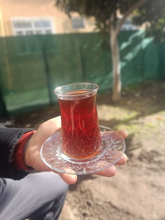 Fotoğraf 11
