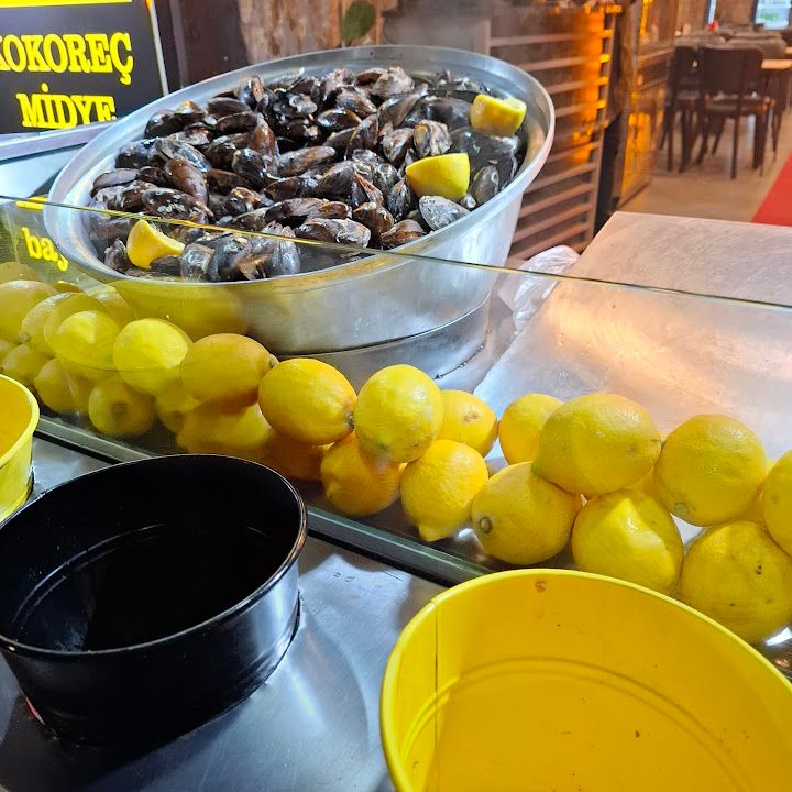 Fotoğraf 8