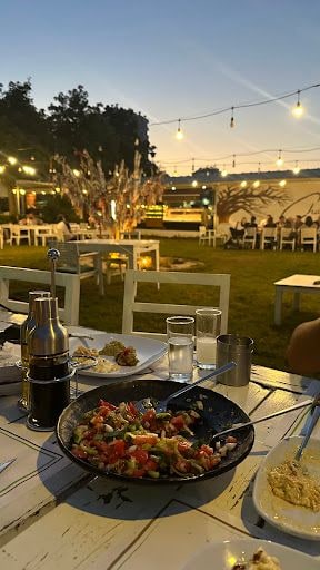 Fotoğraf 17