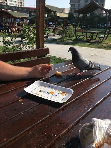 Yorum fotoğrafı 2