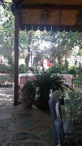 Fotoğraf 12