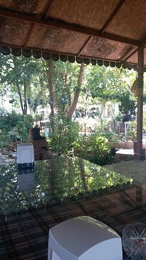 Fotoğraf 13