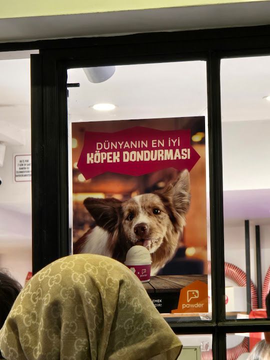 Fotoğraf 28