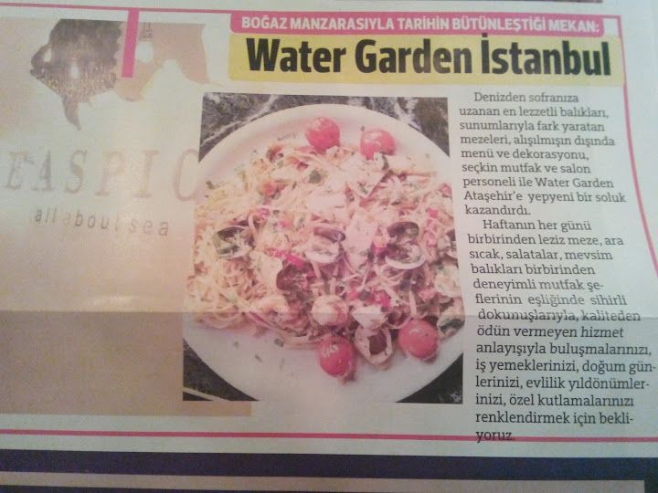 Fotoğraf 30