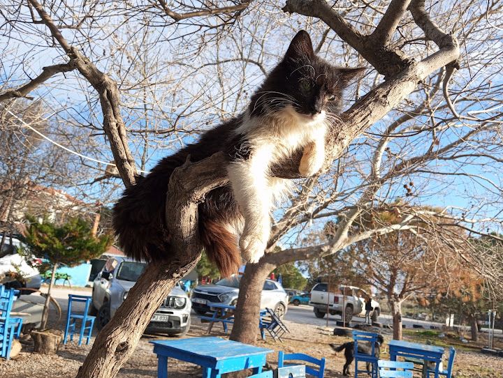 Yorum fotoğrafı 3