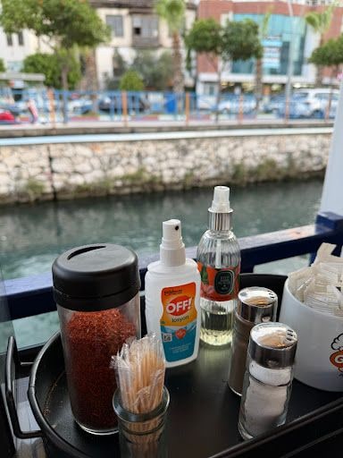 Yorum fotoğrafı 4