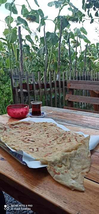 Fotoğraf 15