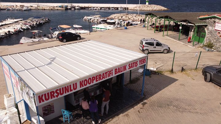 Kurşunlu Balıkçılar Kooperatifi Balık Satış Yeri