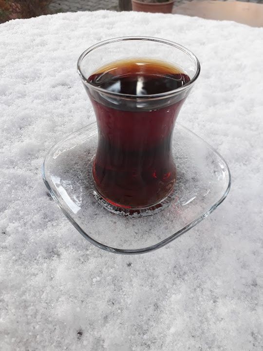 Fotoğraf 13