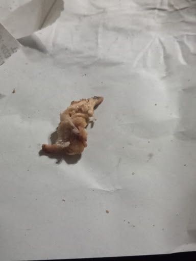 Yorum fotoğrafı 4