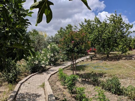 Yorum fotoğrafı 2