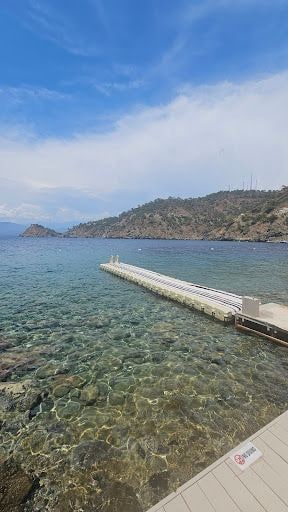 Yorum fotoğrafı 5
