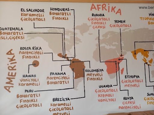 Yorum fotoğrafı 6