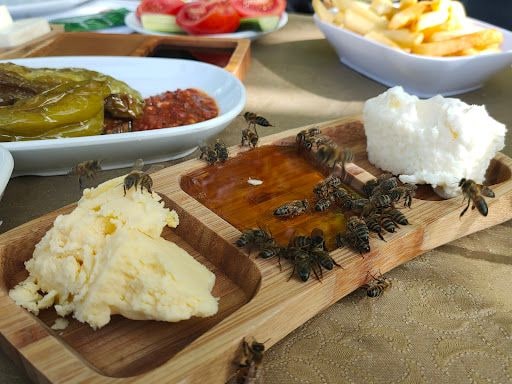 Yorum fotoğrafı 5