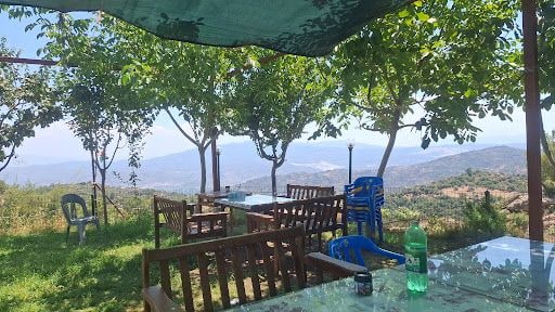 Fotoğraf 15