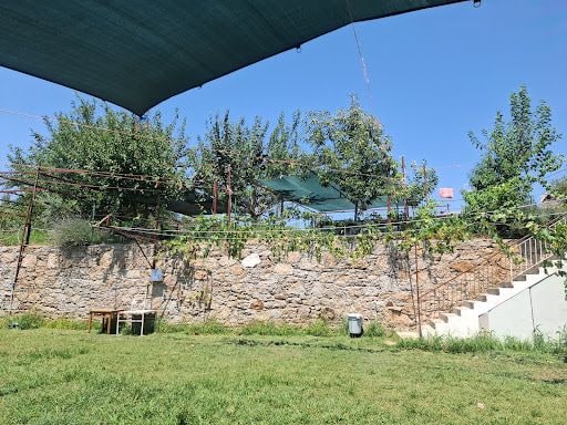 Fotoğraf 17