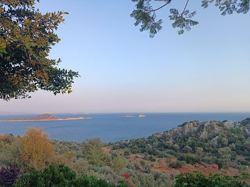 Yorum fotoğrafı 3