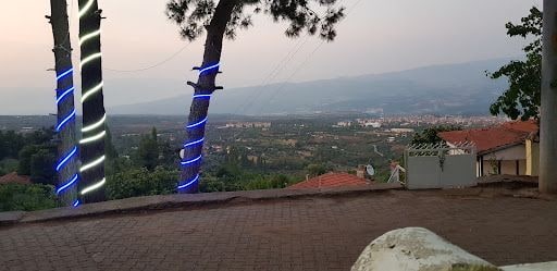Fotoğraf 13