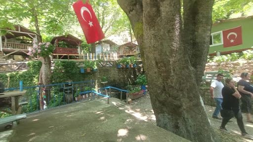 Yorum fotoğrafı 4