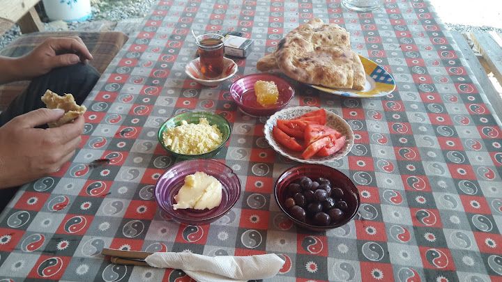 Fotoğraf 24