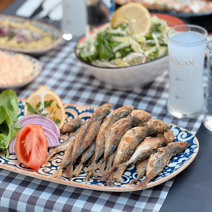 Fotoğraf 33