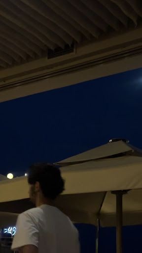 Fotoğraf 14