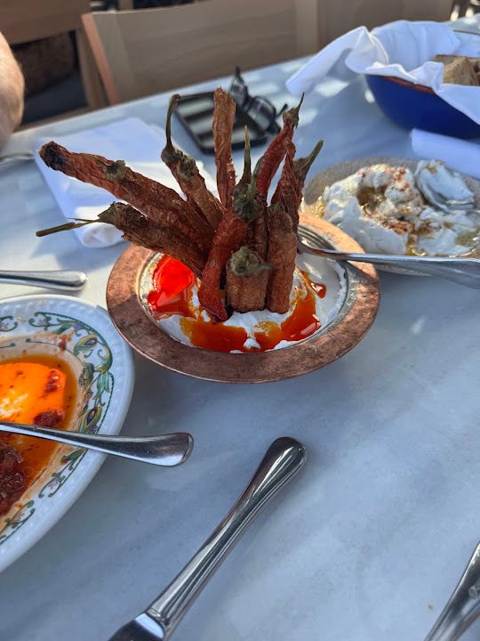 Fotoğraf 69