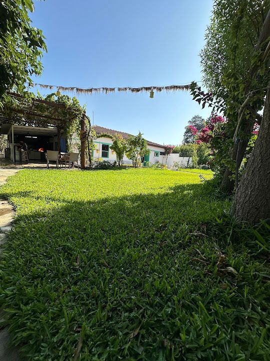 Fotoğraf 38