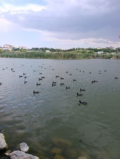 Yorum fotoğrafı 10
