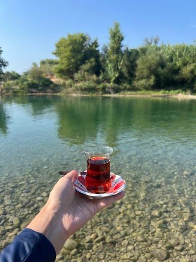 Fotoğraf 13