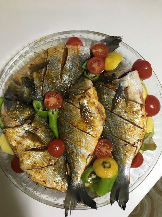 Fotoğraf 15