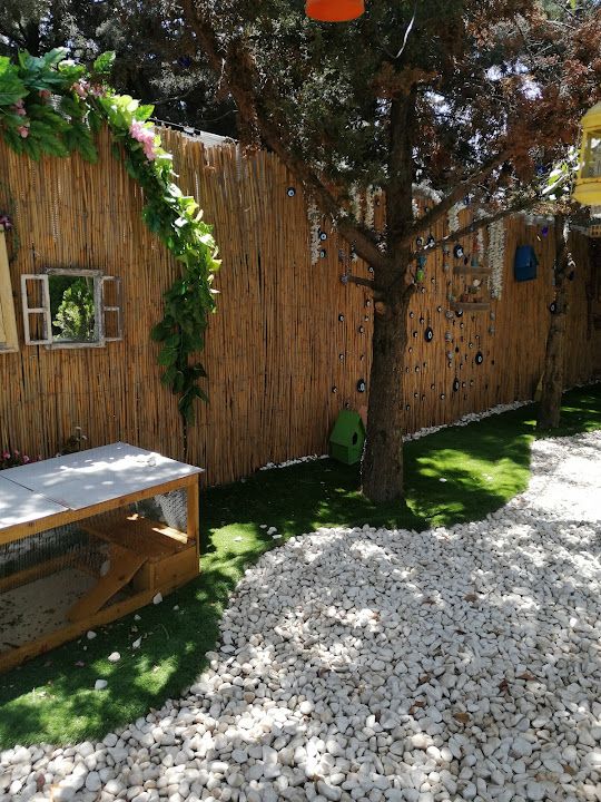 Yorum fotoğrafı 3