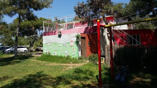 Yorum fotoğrafı 3