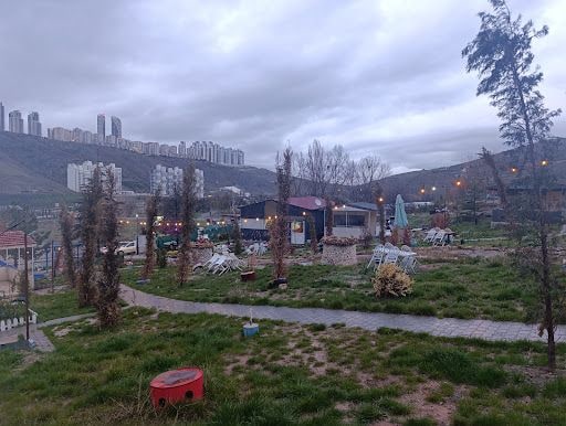 Yorum fotoğrafı 2