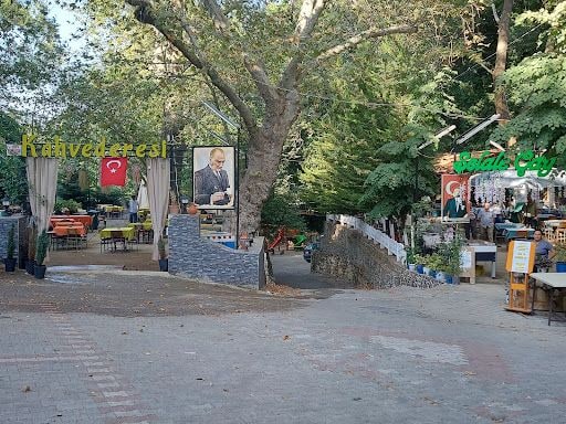 Fotoğraf 9