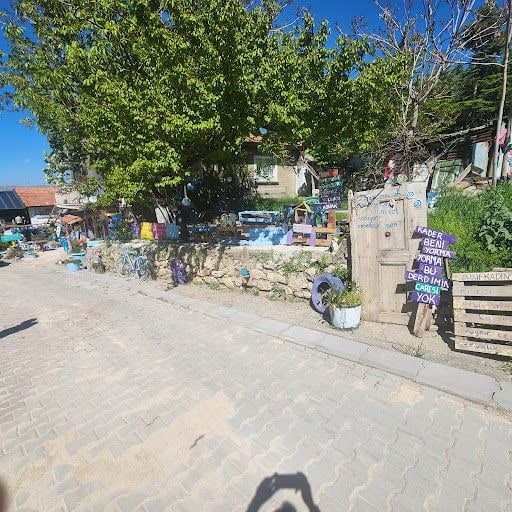 Yorum fotoğrafı 2