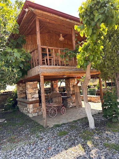 Fotoğraf 62