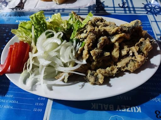 Fotoğraf 17