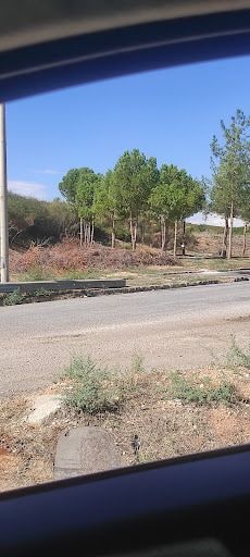 Yorum fotoğrafı 6