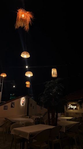 Fotoğraf 15