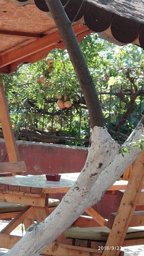 Fotoğraf 25