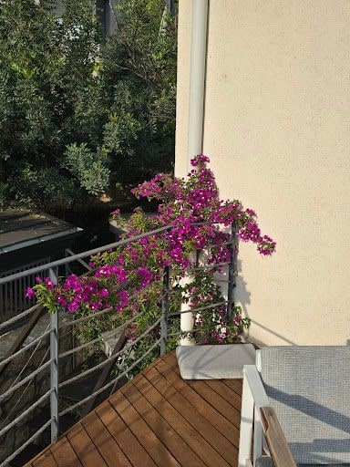 Yorum fotoğrafı 8