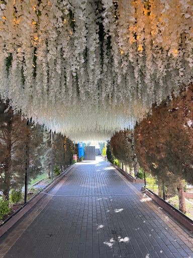 Yorum fotoğrafı 5