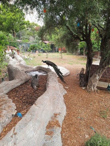 Yorum fotoğrafı 3