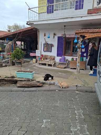 Yorum fotoğrafı 5