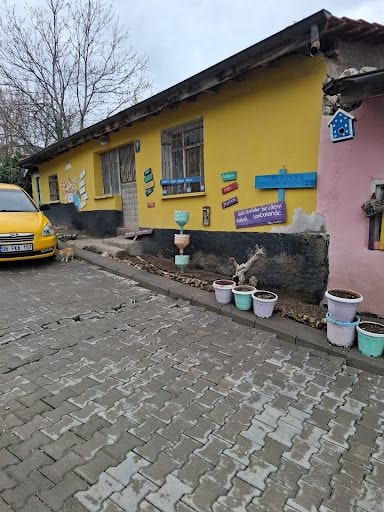 Yorum fotoğrafı 6